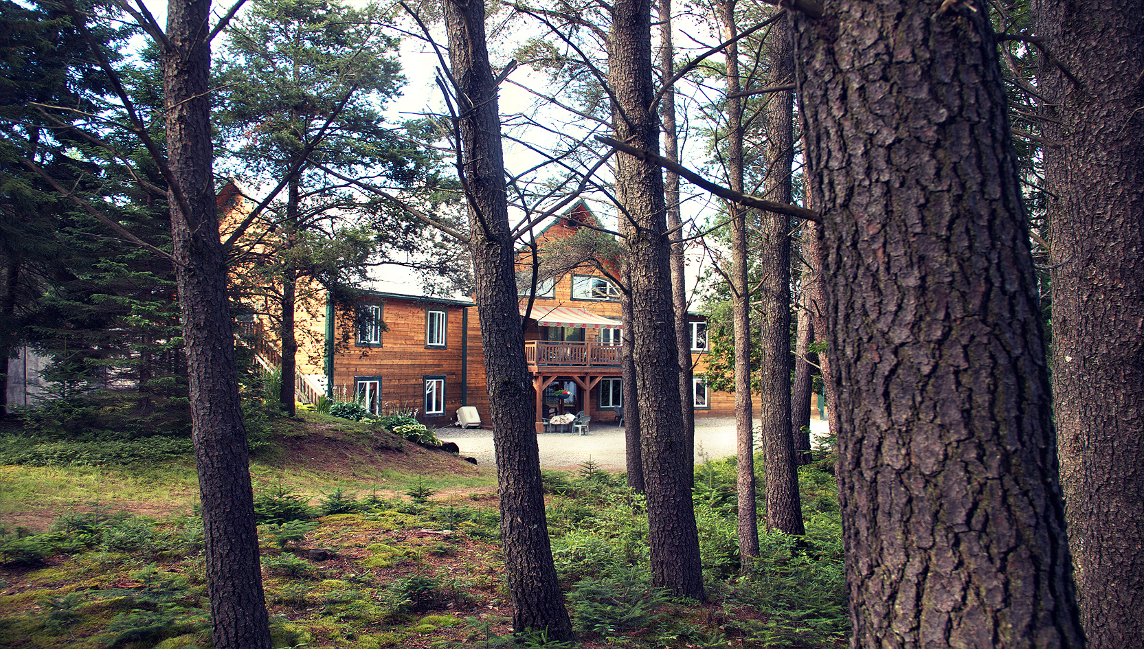 Domaine Summum Salsa/Tango Suites