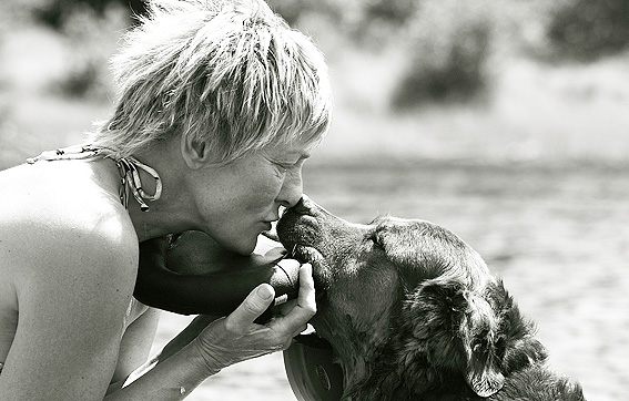 Domaine Summum Woof B&B