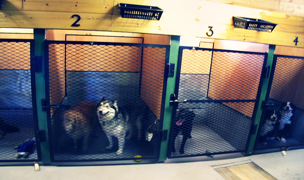 Woof B&B Spaws