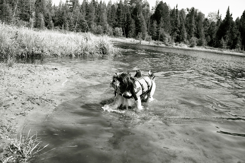 Woof B&B Spaws