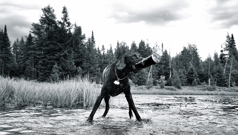 Domaine Summum Woof B&B
